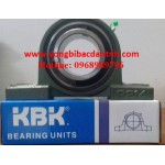 GỐI ĐỠ-Ổ BI KBK UCP214